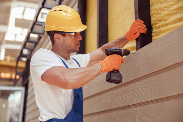 Best Siding Painting and Refinishing  in Superior, AZ